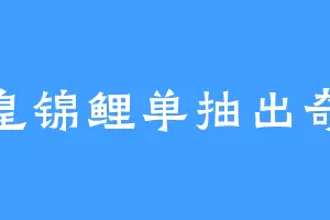 欧皇锦鲤单抽出奇迹