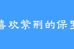 喜欢紫荆的保罗