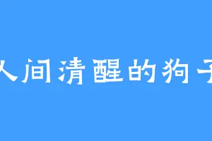 人间清醒的狗子