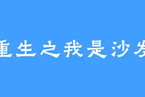 重生之我是沙发