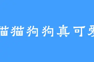 猫猫狗狗真可爱