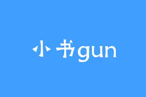 小书gun