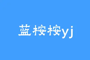 蓝桉桉yj