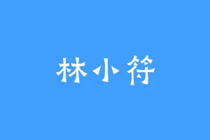 林小符