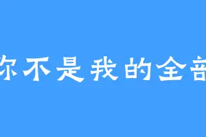 你不是我的全部