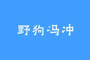 野狗冯冲