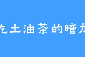 爱吃土油茶的暗龙劲