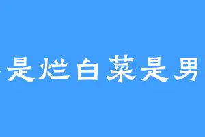 不是烂白菜是男神