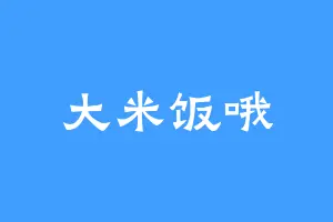大米饭哦
