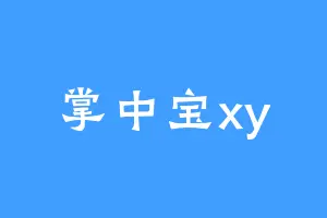 掌中宝xy