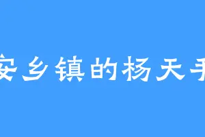 安乡镇的杨天手