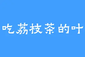 爱吃荔枝茶的叶强