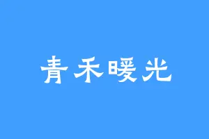青禾暖光