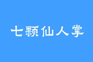 七颗仙人掌