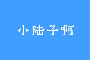 小陆子啊