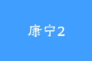 康宁2