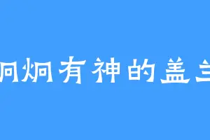 炯炯有神的盖兰