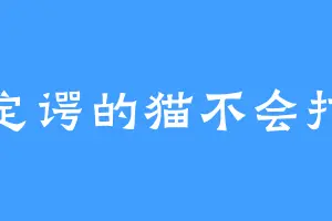薛定谔的猫不会打字