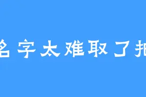 名字太难取了把