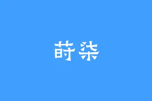 莳柒