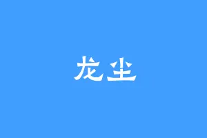 龙尘