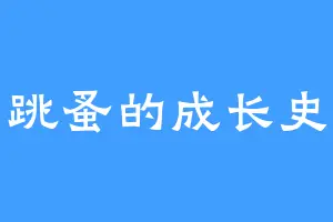 跳蚤的成长史