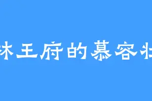 东林王府的慕容壮壮
