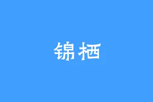 锦栖