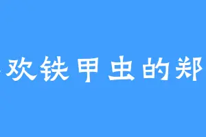 喜欢铁甲虫的郑宇