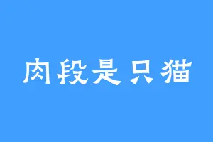 肉段是只猫