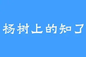 杨树上的知了