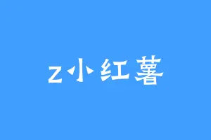 z小红薯