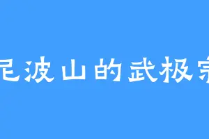 尼波山的武极宗