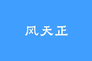 风天正