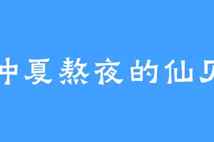 仲夏熬夜的仙贝
