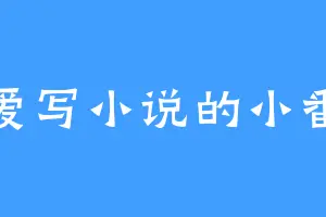爱写小说的小番