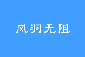 风羽无阻