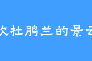喜欢杜鹃兰的景云坤