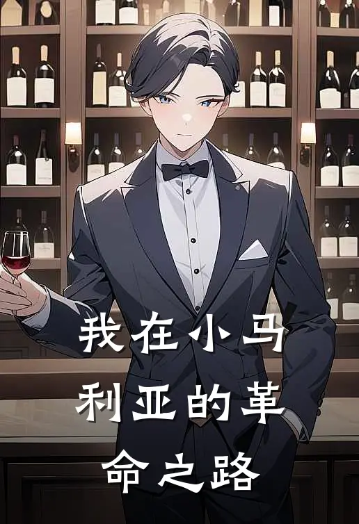 我在小马利亚的革命之路