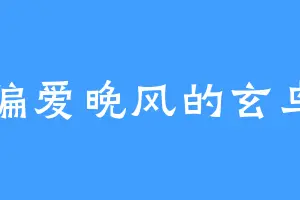 偏爱晚风的玄鸟