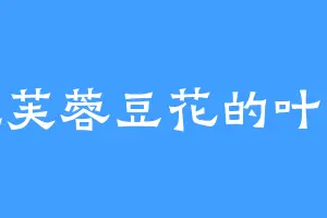 爱吃芙蓉豆花的叶辰环