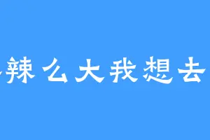 世界辣么大我想去看看