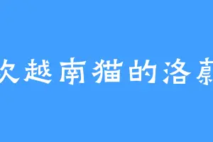 喜欢越南猫的洛蔚儿