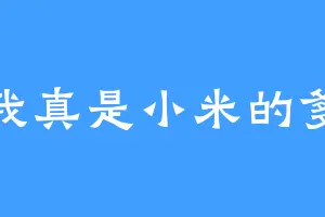 我真是小米的爹