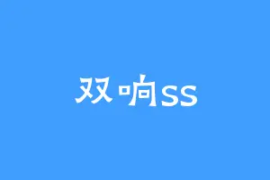 双响ss