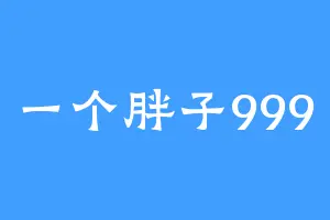 一个胖子999