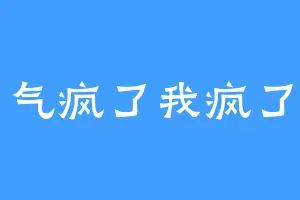气疯了我疯了