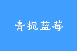 青栀蓝莓