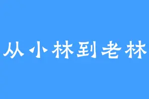 从小林到老林