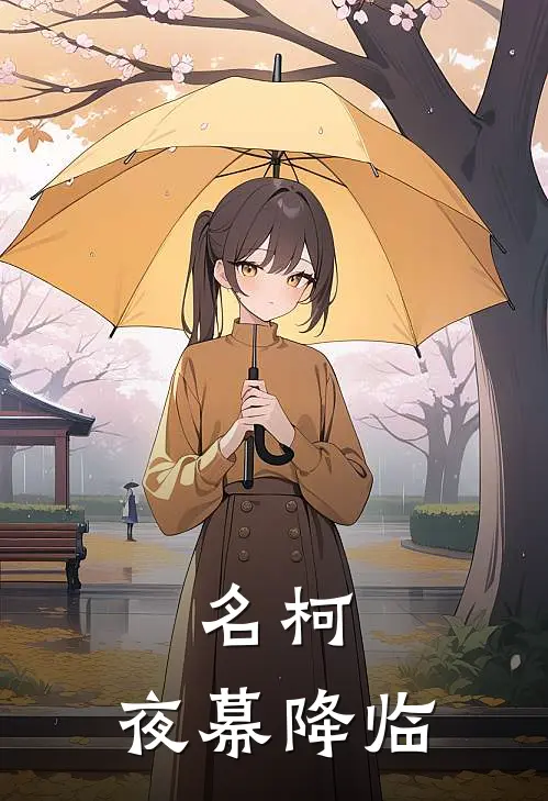 名柯：夜幕降临